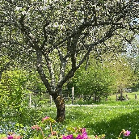 Le Paradis - Romance And Authenticity Les Champeaux