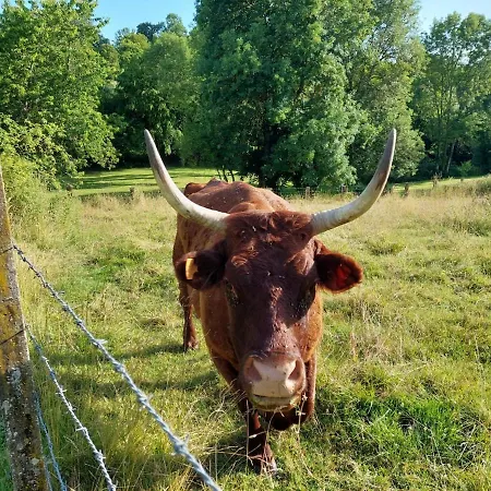 Le Paradis - Romance And Authenticity * Les Champeaux