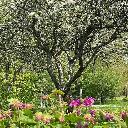 Nyaraló Le Paradis - Romance And Authenticity *