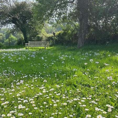 Le Paradis - Romance And Authenticity