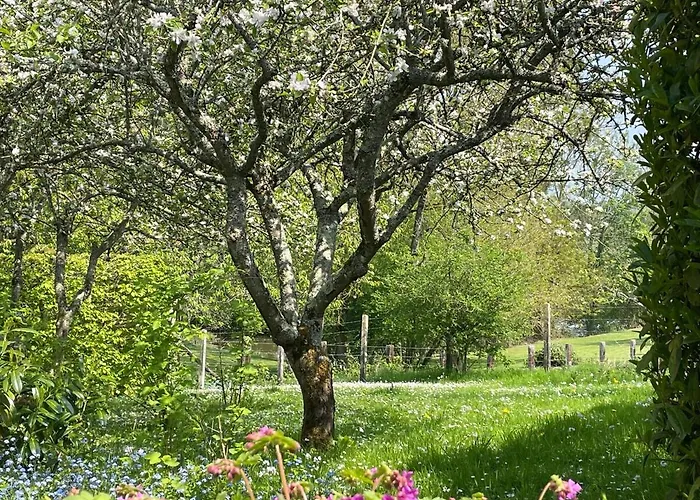 Le Paradis - Romance And Authenticity Les Champeaux