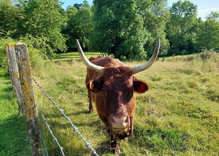 Le Paradis - Romance And Authenticity * Les Champeaux