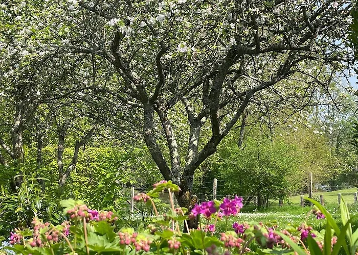 بيت للعطل Le Paradis - Romance And Authenticity *