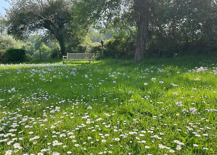 Le Paradis - Romance And Authenticity